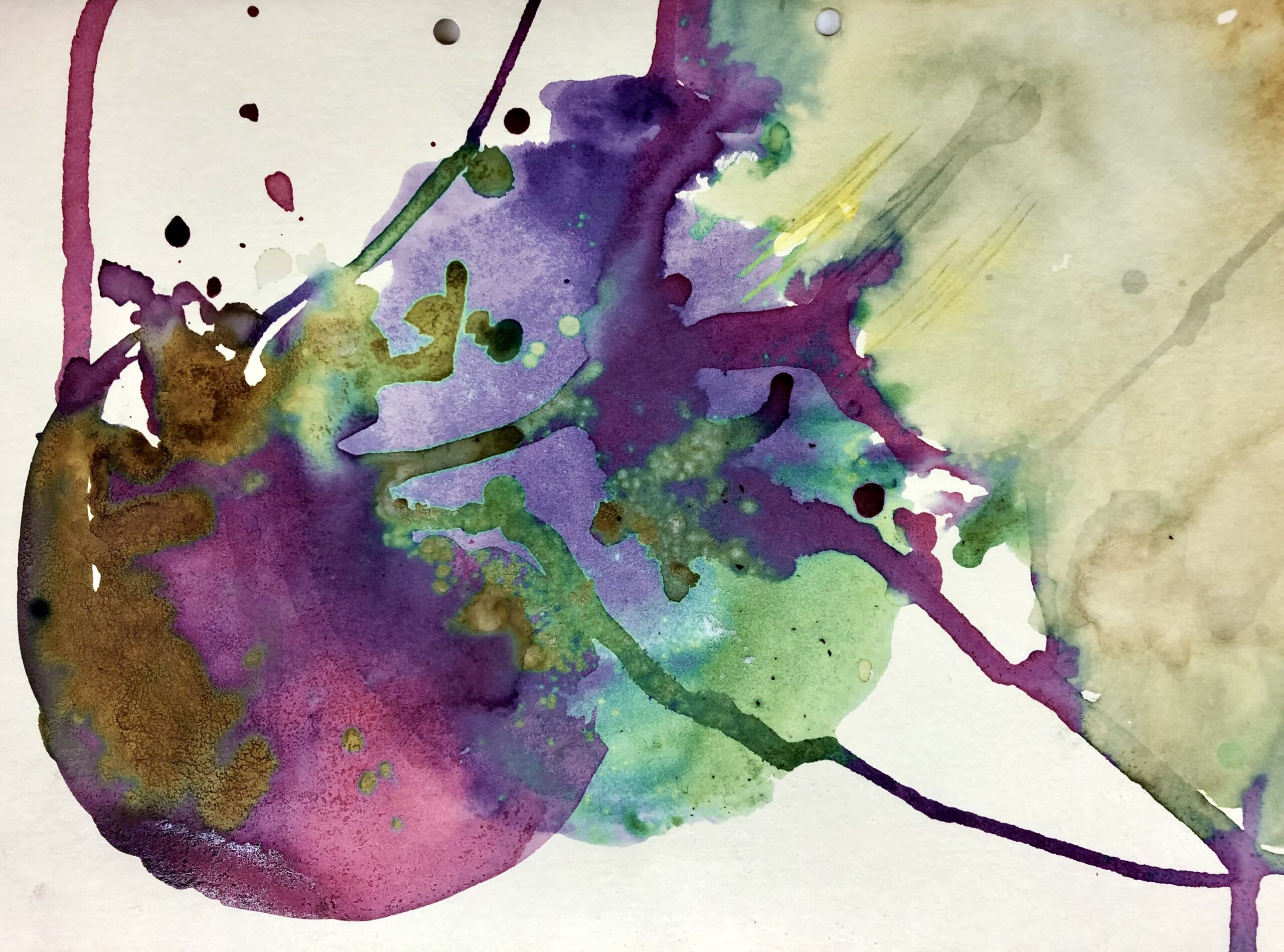 08 nach Sevengardens selbst hergestellte Pflanzenfarbe (Granatapfel,Malve, schwarze Stockrose, Färberdistel, Zitrone und Natron